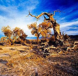 国外玩永劫无间卡怎么办？嘀嗒加速器打造电竞级加速体验